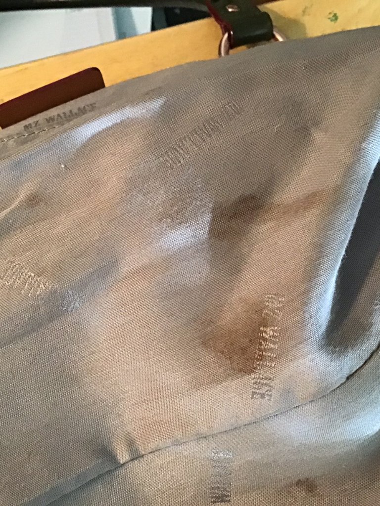 Mz Wallace Green Paige Crossbody Bag (Please Read Description) — image 3 of 8